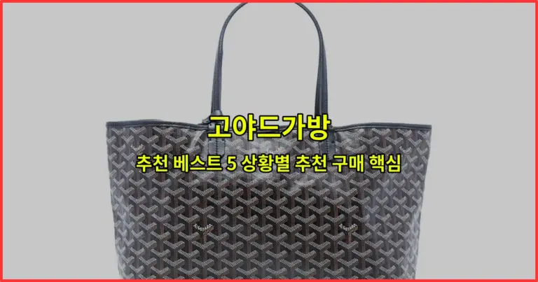 고야드가방 추천 베스트 5 상황별 추천 구매 핵심